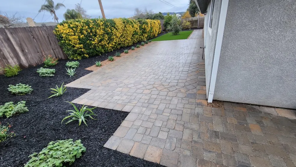 Expert yard cleanup service experts serving Santa Maria, CA - Dream Garden Landscape