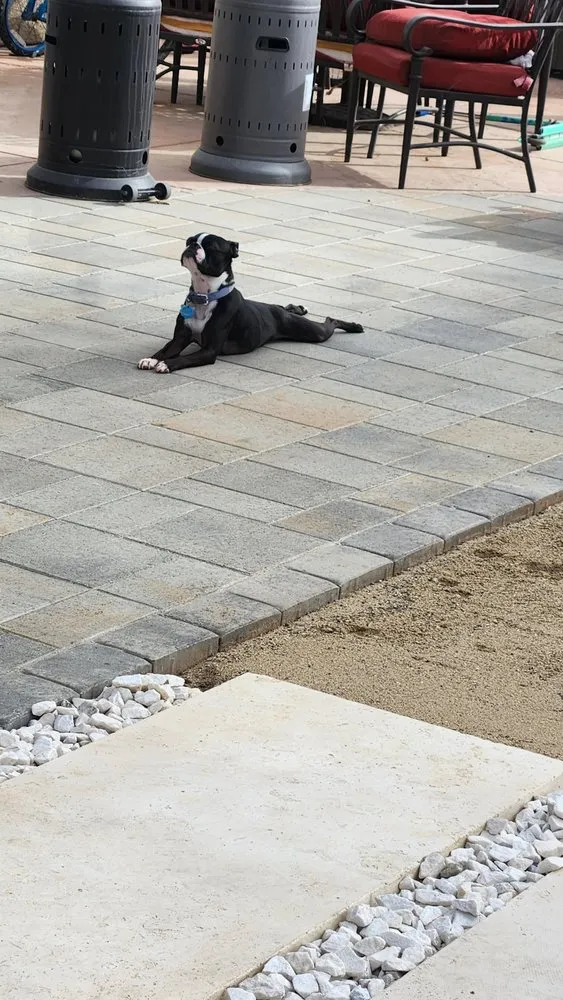 Local lawn care service with custom design across Santa Maria, CA - Dream Garden Landscape