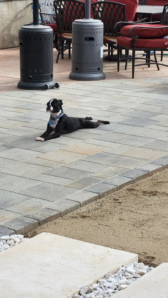 Affordable garden landscaping for homes across Santa Maria, CA - Dream Garden Landscape