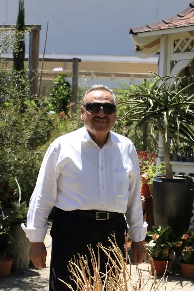 Reliable lawn mowing service experts serving Los Angeles, CA - Dream Garden