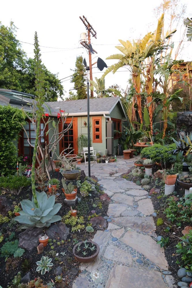 Affordable yard maintenance near you in Los Angeles, CA by Dream Garden