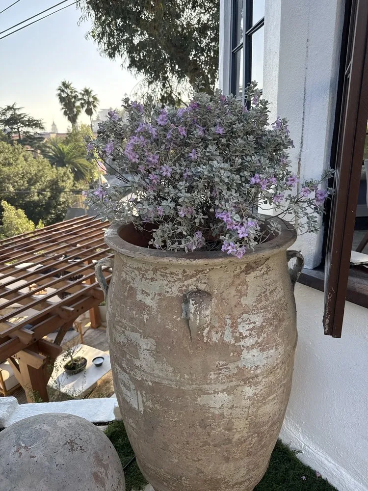 Professional garden landscaping with custom design across Los Angeles, CA - Dream Garden