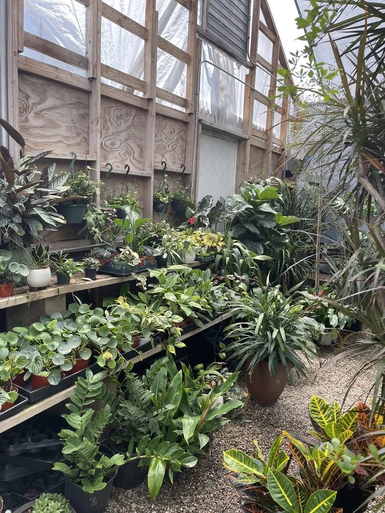 Professional landscape installation for residential properties in Los Angeles, CA by Dream Garden