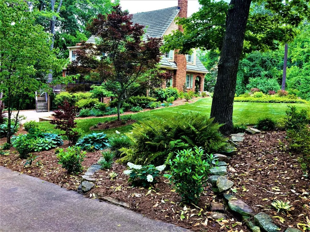 Reliable yard cleanup service for outdoor upgrades in Chattanooga, TN by Dream Gardens