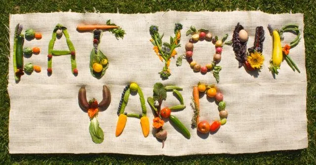 Top-rated residential landscaping for year-round maintenance across Paterson, NJ - Dream Gardens Edible Landscaping