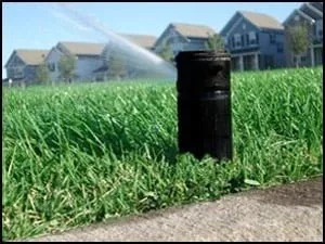 Custom residential landscaping in Waverly, MN by Dream Green Irrigation and Lawn Care