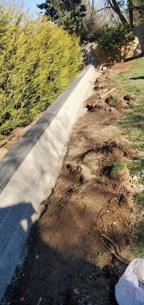 Local yard cleanup service experts serving Federal Way, WA - Dream Green Landscapes