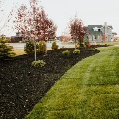 Dream Green Landscaping Logo