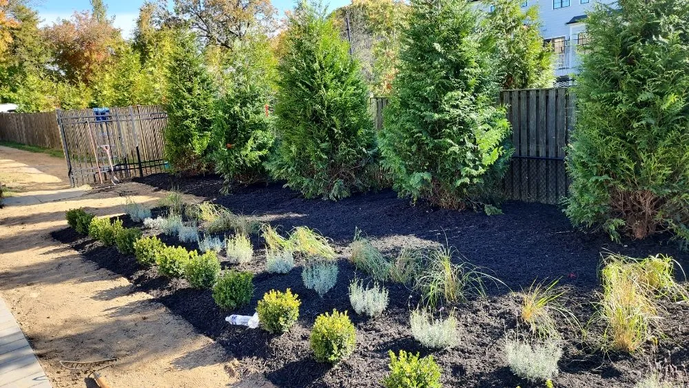 Top-rated landscape installation for beautiful yards across Rosedale, MD - Dream Green Lanscaping