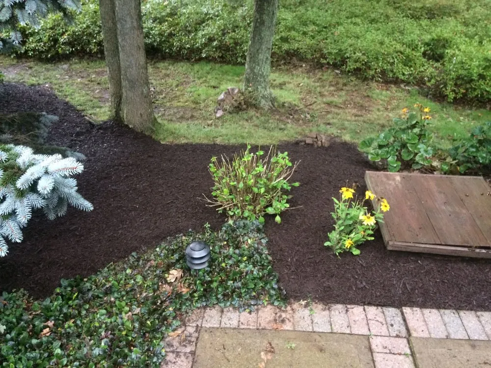 Professional lawn mowing service for residential properties in State College, PA by Dream Green Lawn Care