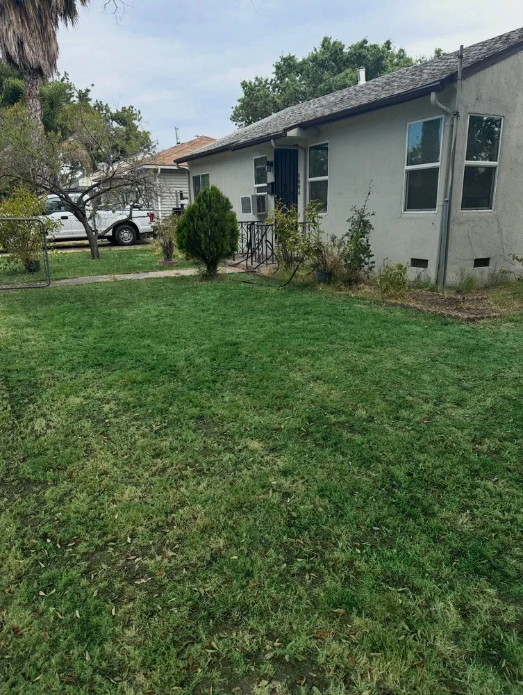 Top-rated lawn mowing service for homes across Stockton, CA - Dream Green