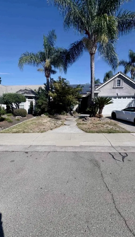 Top-rated lawn care service in Stockton, CA - Dream Green