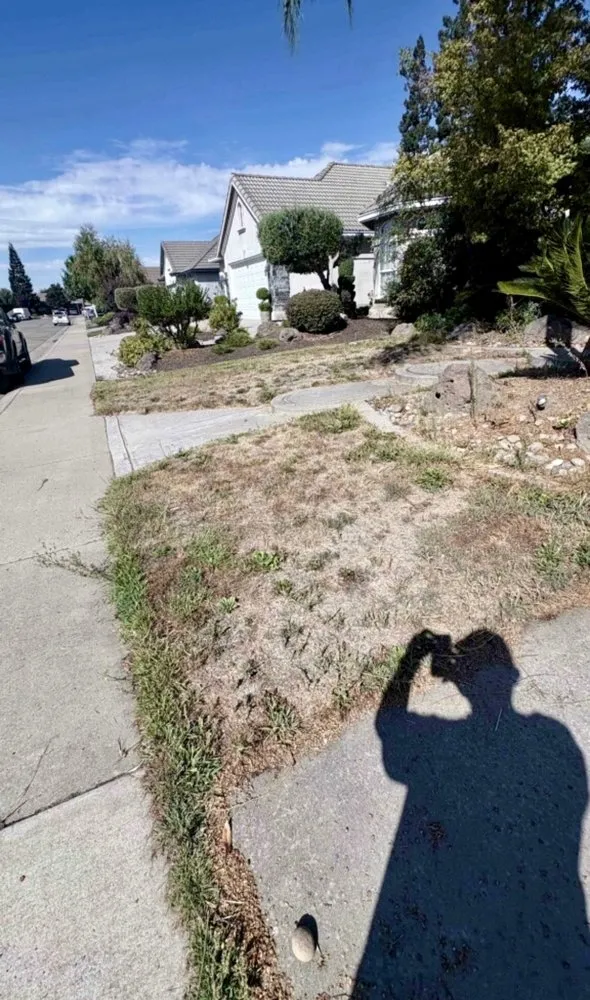 Reliable landscape installation experts serving Stockton, CA - Dream Green