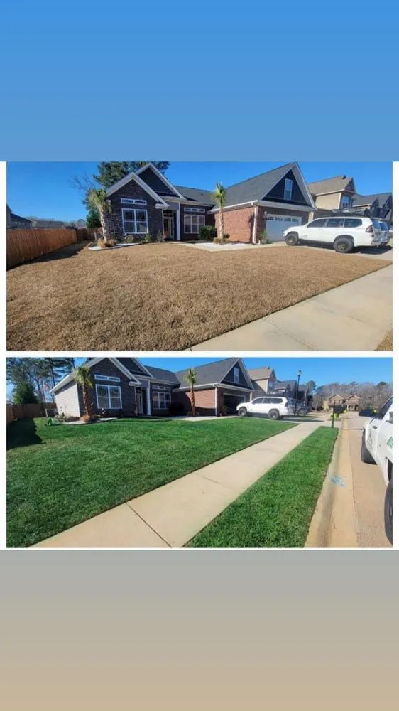 Trusted landscape design near you in Stockton, CA by Dream Green