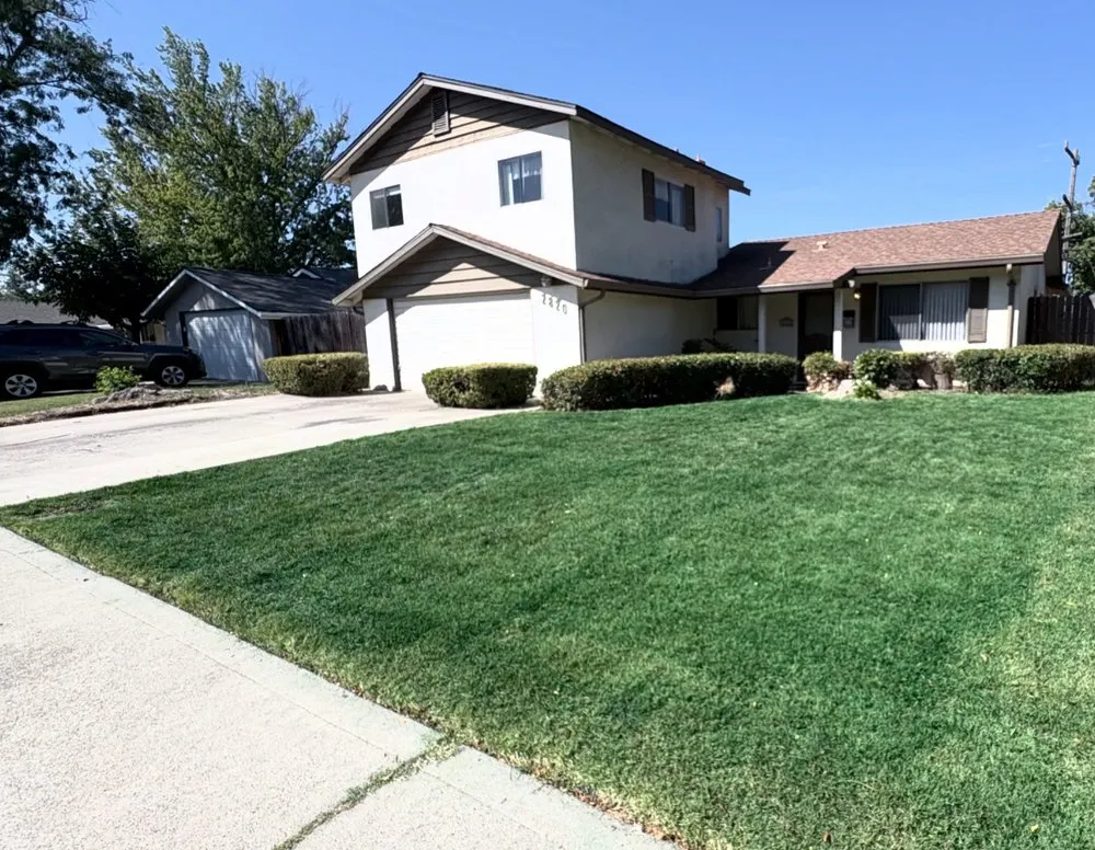 Top-rated lawn care service with custom design in Stockton, CA by Dream Green