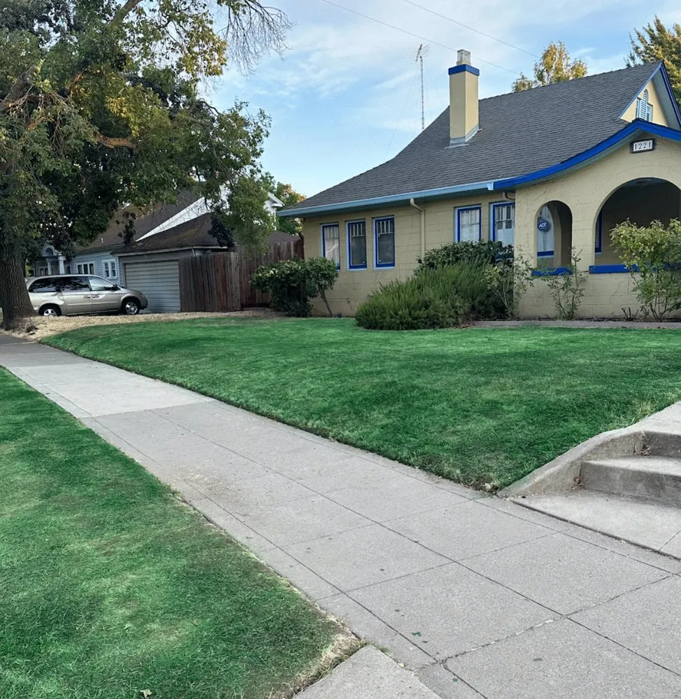 Local landscape design for outdoor upgrades across Stockton, CA - Dream Green