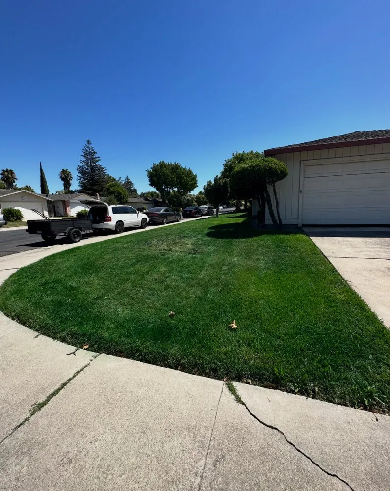 Reliable yard maintenance experts serving Stockton, CA - Dream Green