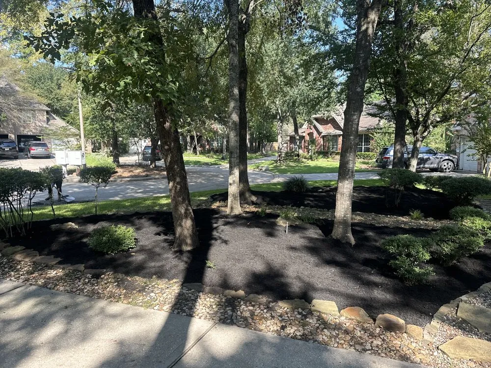 Reliable landscaping services near you across The Woodlands, TX - Dream Green