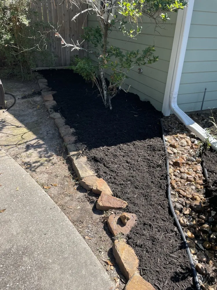 Trusted landscaping services for year-round maintenance across The Woodlands, TX - Dream Green