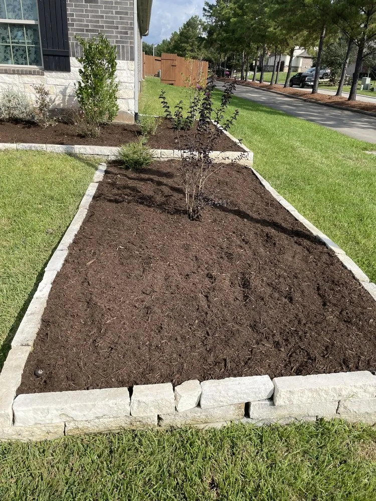 Top-rated landscape installation in The Woodlands, TX - Dream Green