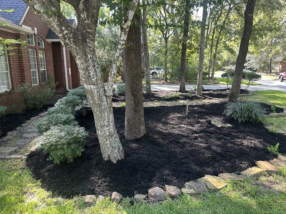 Reliable landscape design in The Woodlands, TX by Dream Green