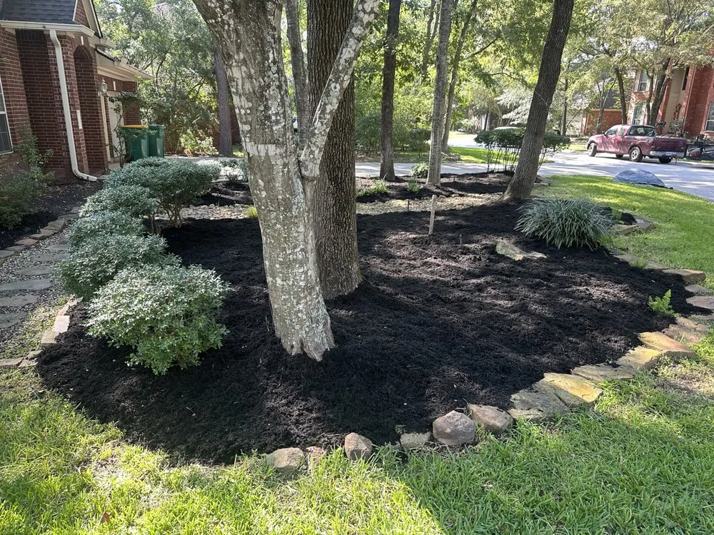 Professional landscape design with custom design across The Woodlands, TX - Dream Green