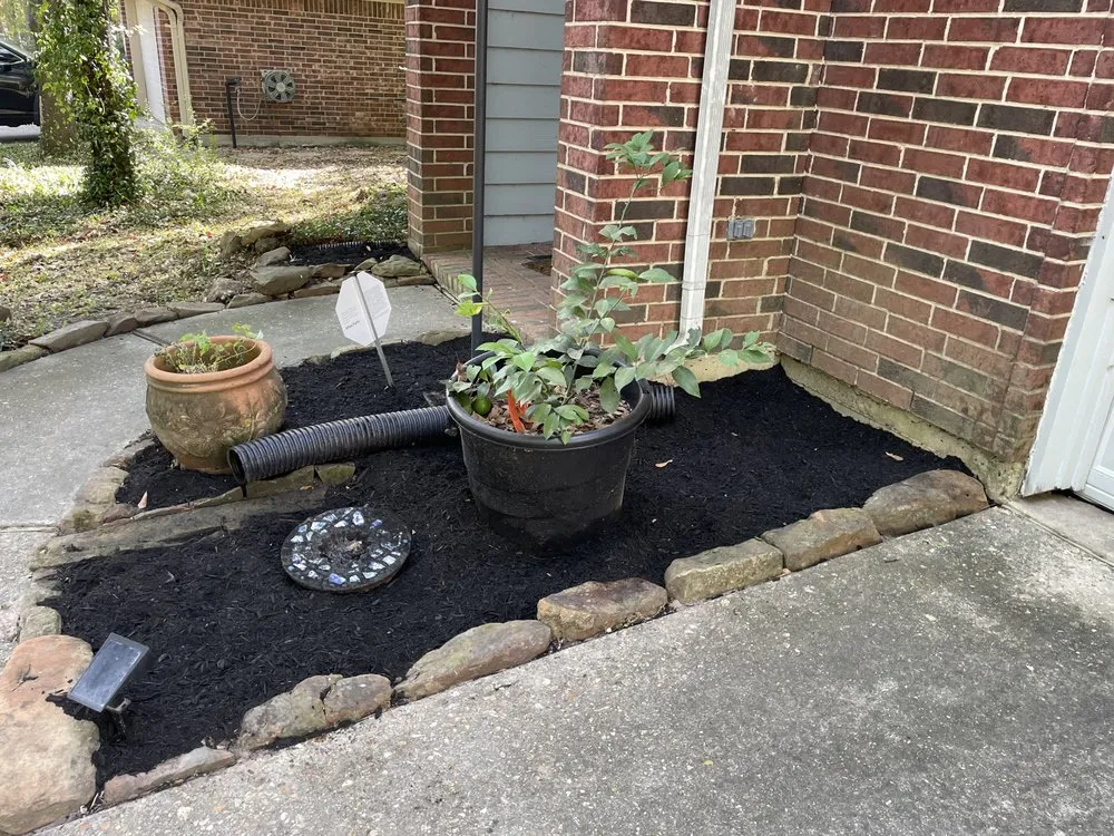 Expert landscaping services in The Woodlands, TX by Dream Green