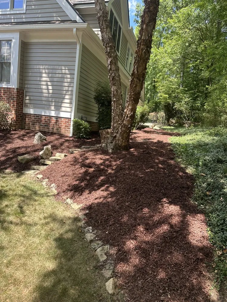 Affordable outdoor landscaping in The Woodlands, TX - Dream Green