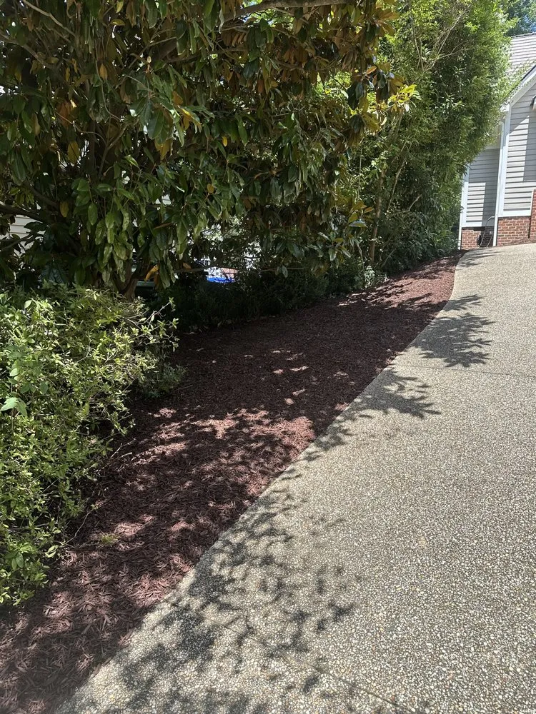 Local yard maintenance experts serving The Woodlands, TX - Dream Green