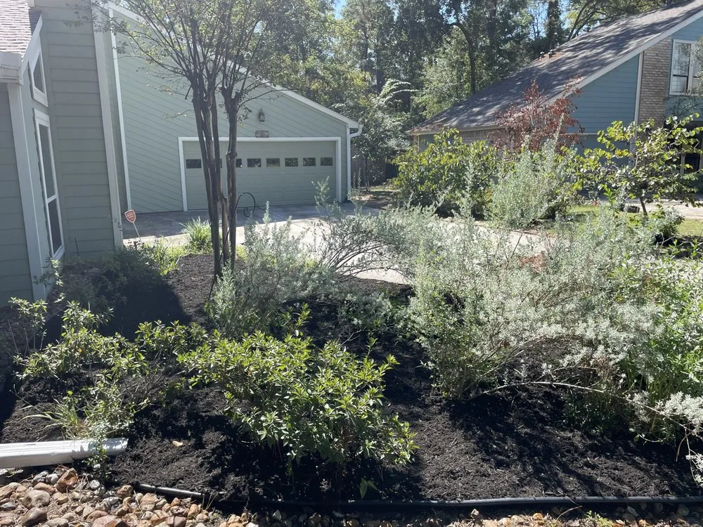 Top-rated lawn care service for outdoor upgrades across The Woodlands, TX - Dream Green