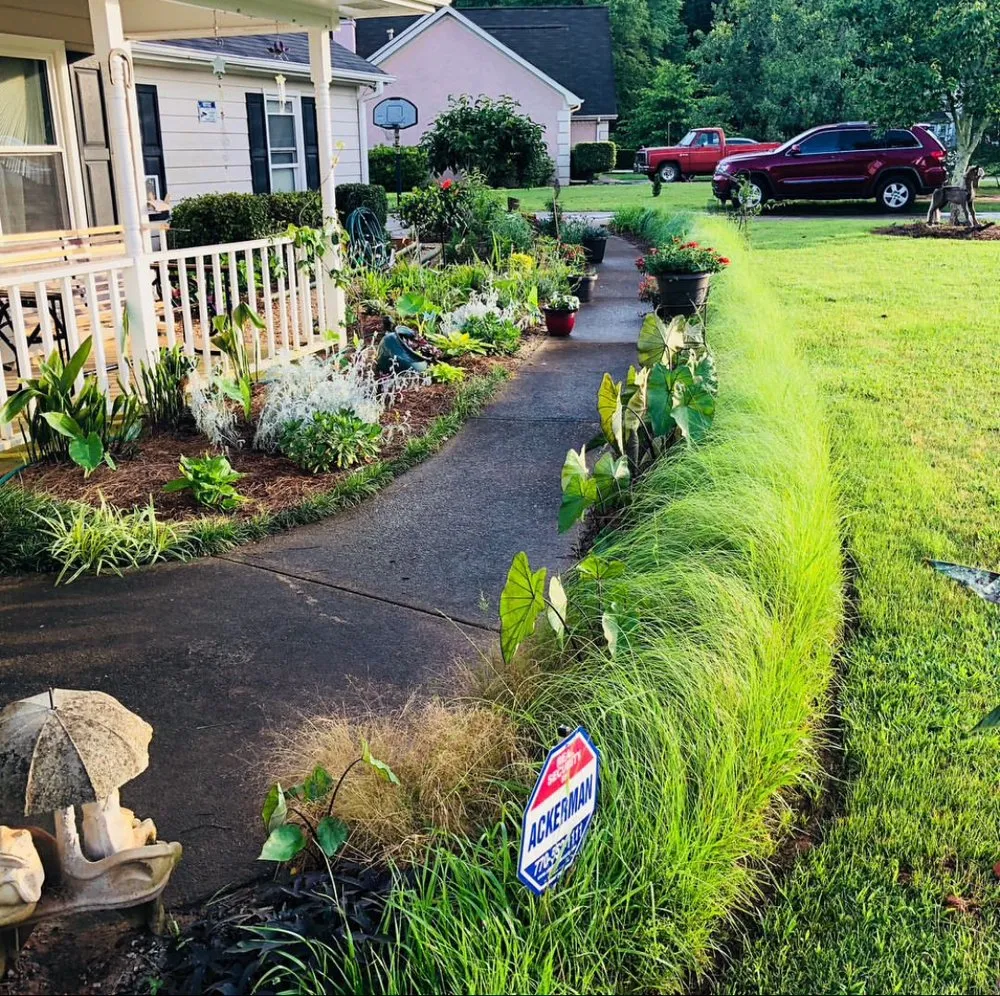 Trusted lawn mowing service experts serving Waterloo, SC - Dream Green Total Yard Solutions