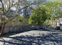 Professional yard maintenance in Lafayette, CA by Dream Green Tree and Landscaping