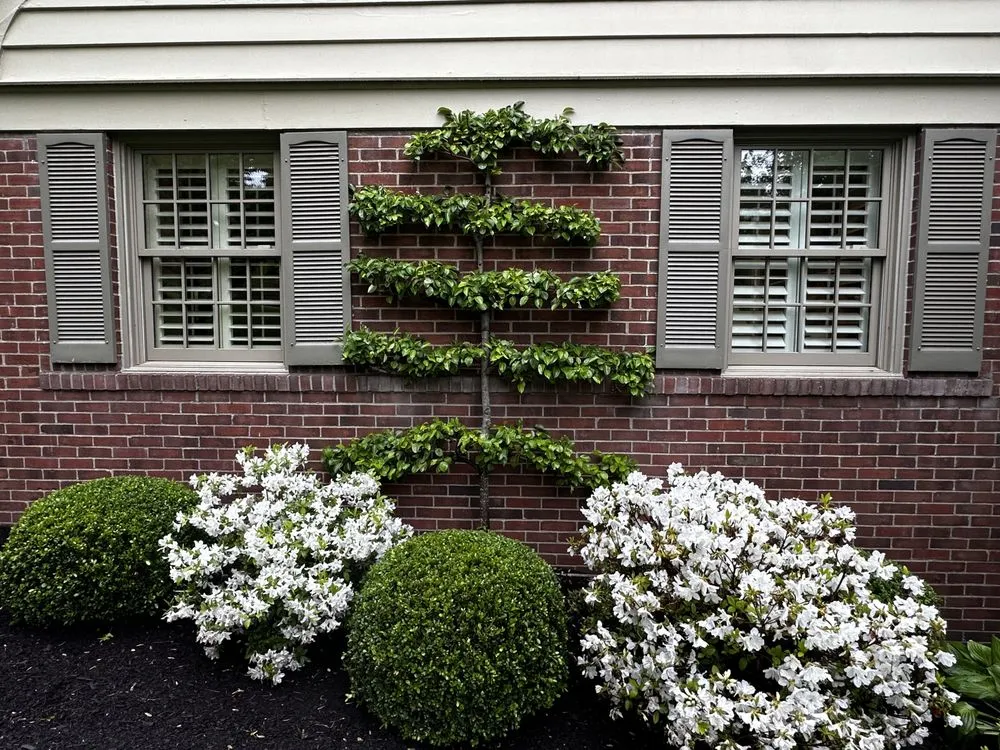 Professional landscape installation experts serving Bethel Park, PA - Dream Greener Lawn & Landscape