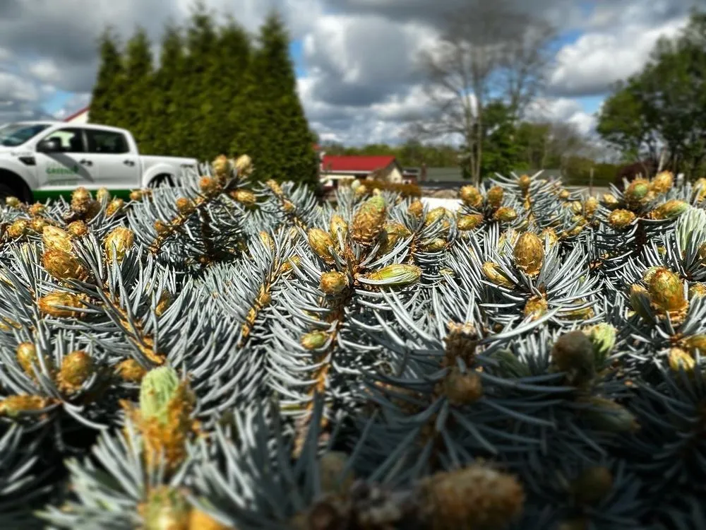 Reliable outdoor landscaping in Bethel Park, PA by Dream Greener Lawn & Landscape