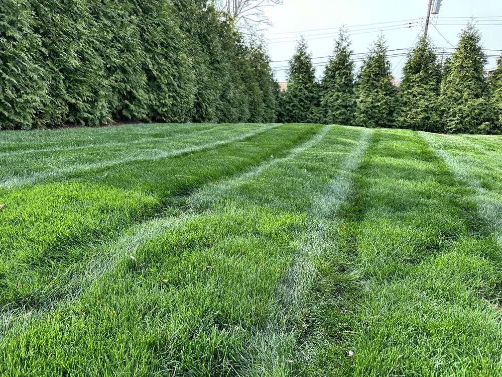 Local garden landscaping in Bethel Park, PA - Dream Greener Lawn & Landscape