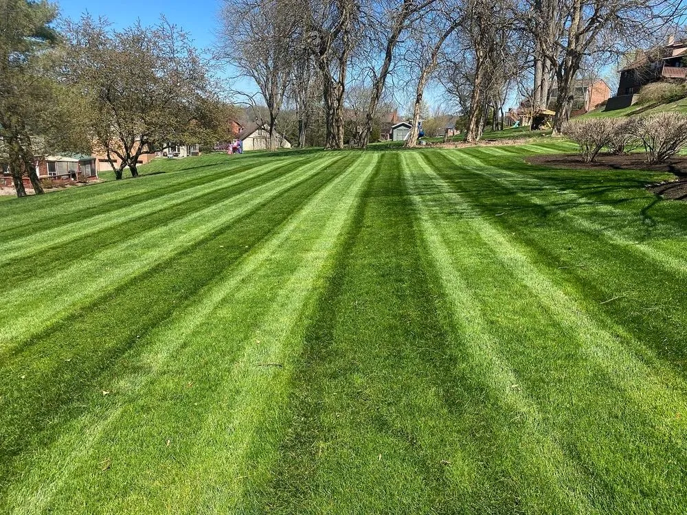 Trusted yard maintenance for beautiful yards across Bethel Park, PA - Dream Greener Lawn & Landscape
