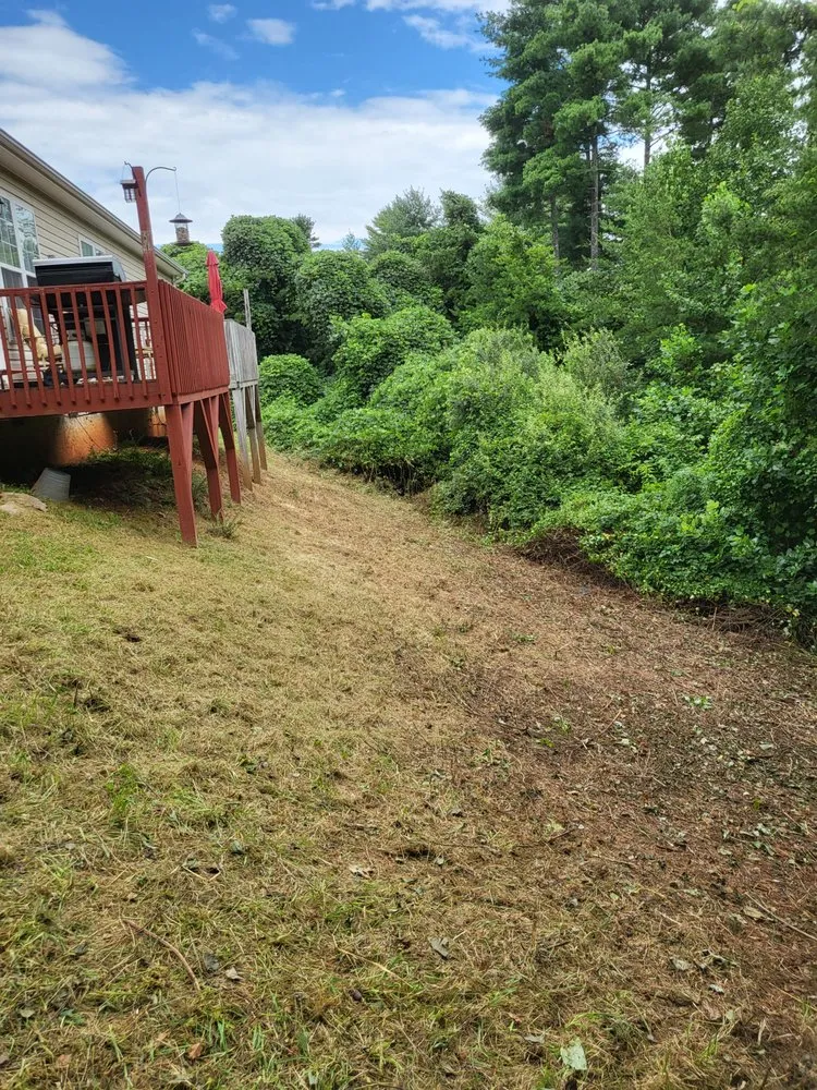 Affordable outdoor landscaping in Alexander, NC - Dream Hauling & Lawn Care Services