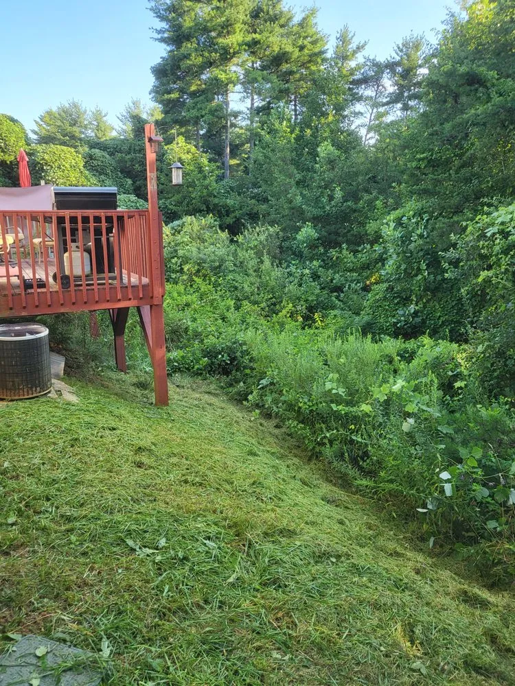 Top-rated landscaping services in Alexander, NC - Dream Hauling & Lawn Care Services