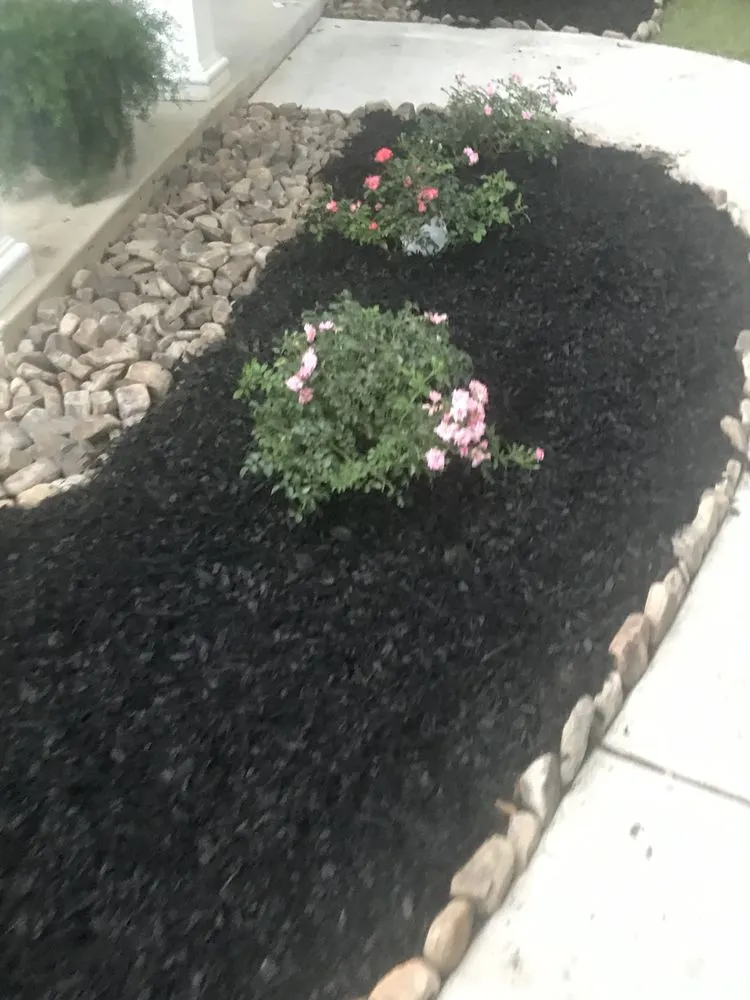 Expert landscaping services with custom design across Ponchatoula, LA - Dream Havens