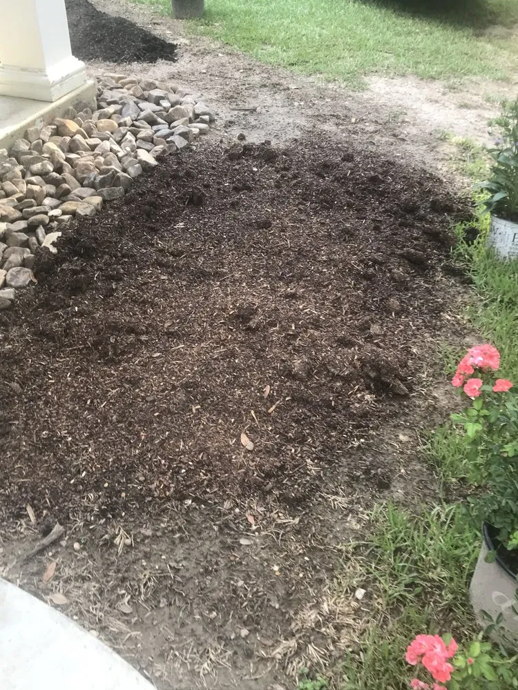 Affordable lawn care service near you across Ponchatoula, LA - Dream Havens