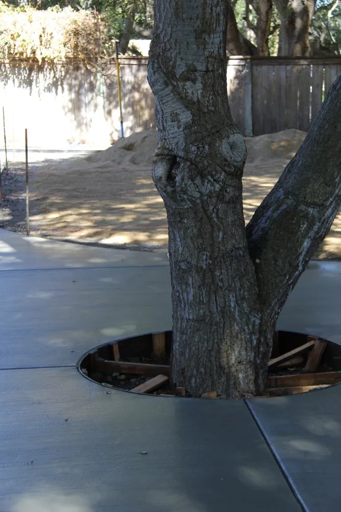 Trusted yard cleanup service experts serving Arroyo Grande, CA - Dream Home Landscaping