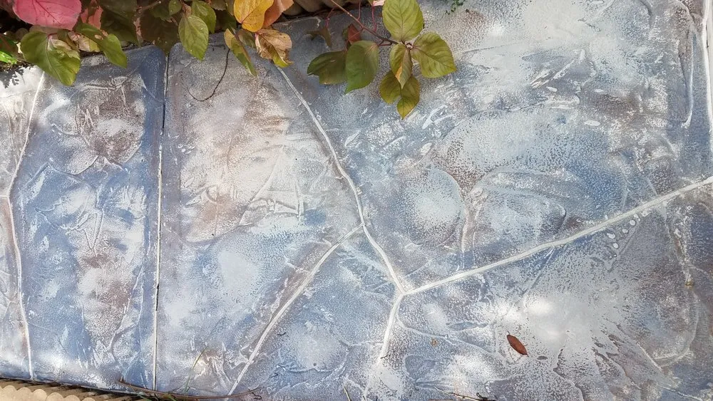 Top-rated landscaping services near you across Ormond Beach, FL - Dream Home Yardscaping