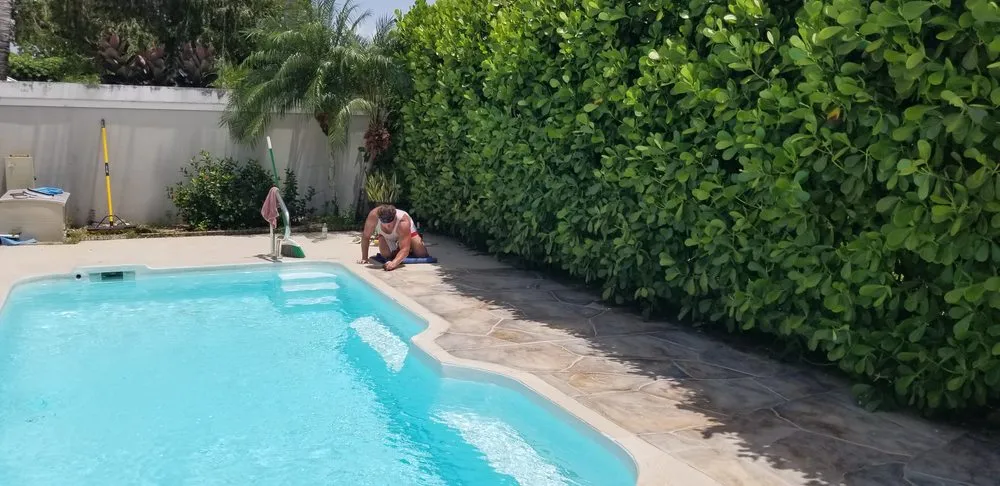 Custom lawn mowing service experts serving Ormond Beach, FL - Dream Home Yardscaping