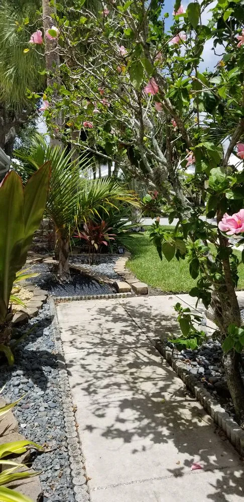 Expert lawn care service for beautiful yards across Ormond Beach, FL - Dream Home Yardscaping