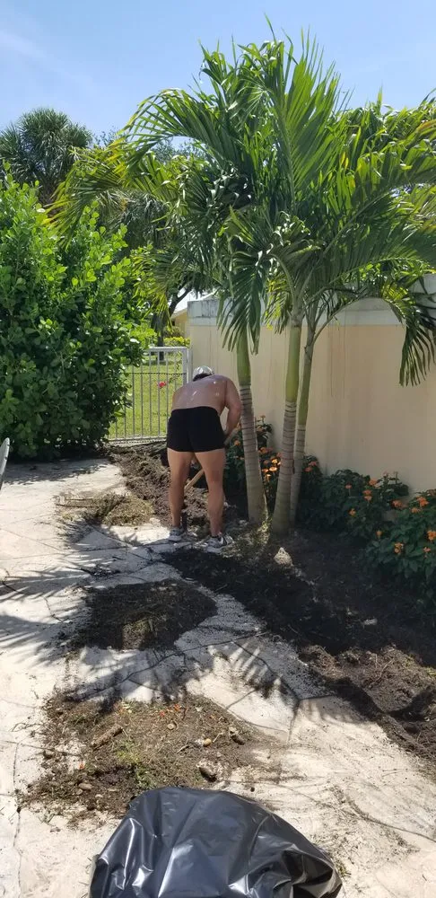 Top-rated residential landscaping for homes across Ormond Beach, FL - Dream Home Yardscaping