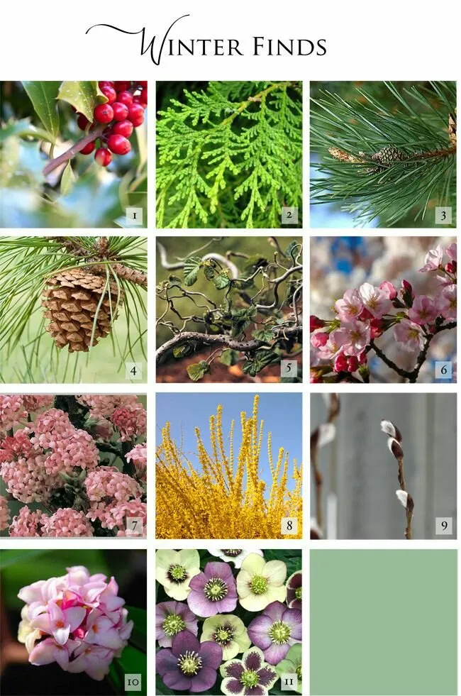 Local outdoor landscaping in Santa Cruz, CA by Dream Hugo's Landscaping