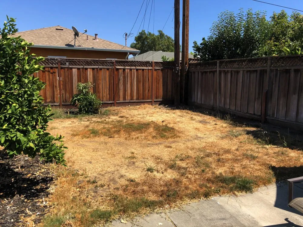 Expert garden landscaping for beautiful yards across Santa Cruz, CA - Dream Hugo's Landscaping