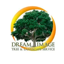Expert landscape installation in Boerne, TX by Dream Image Tree & Landscape Service