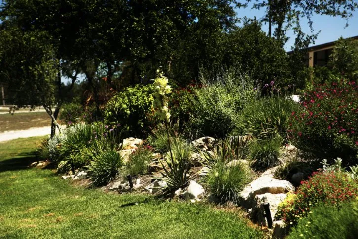 Trusted garden landscaping for year-round maintenance in Boerne, TX by Dream Image Tree & Landscape Service