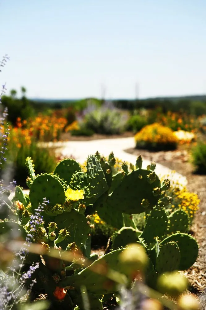 Top-rated garden landscaping experts serving Boerne, TX - Dream Image Tree & Landscape Service